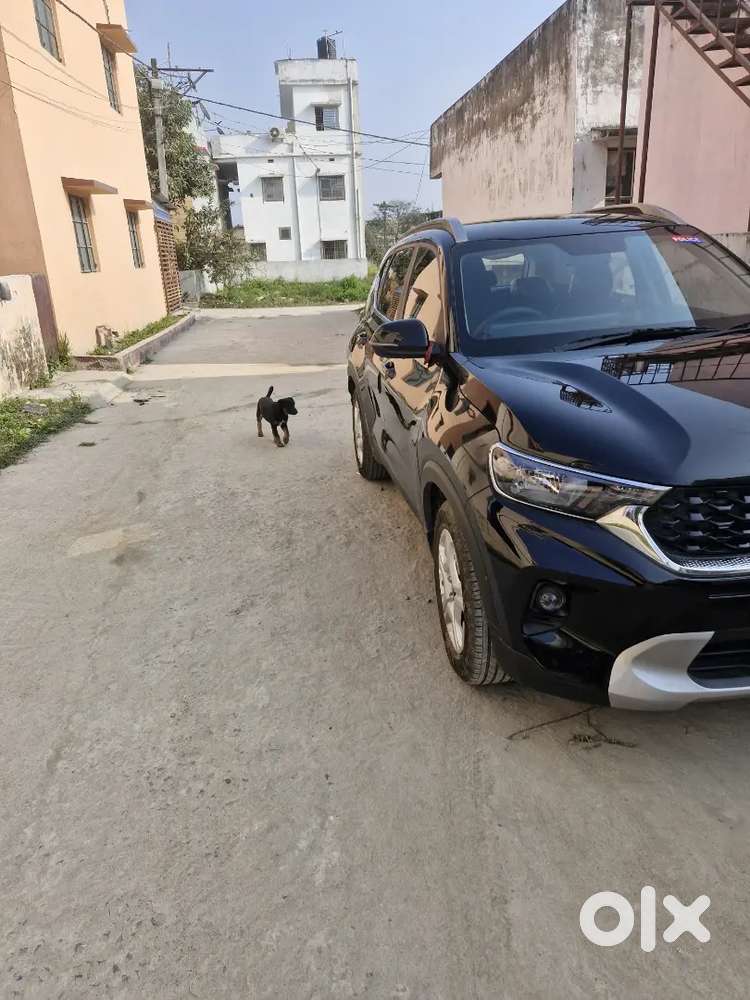 Kia Sonet 2023 ( August)petrol Well Maintained