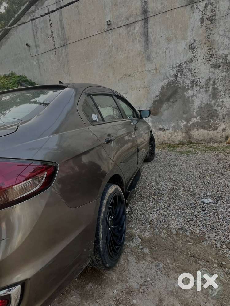 Maruti Suzuki Ciaz New Shape