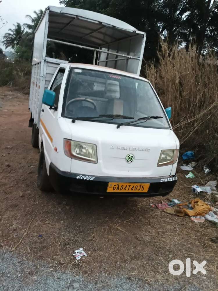 Insurance 5 Month Fitness 3 Month Update