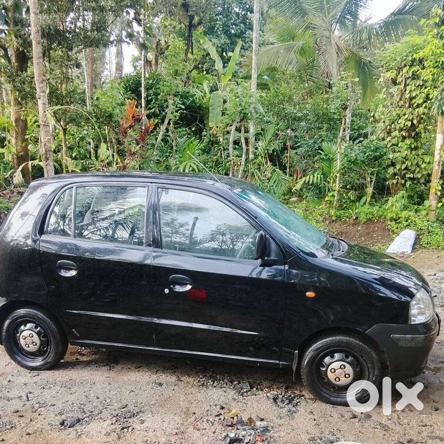 Hyundai Santro Xing Xl Erlx Euro Iii, 2006, Petrol