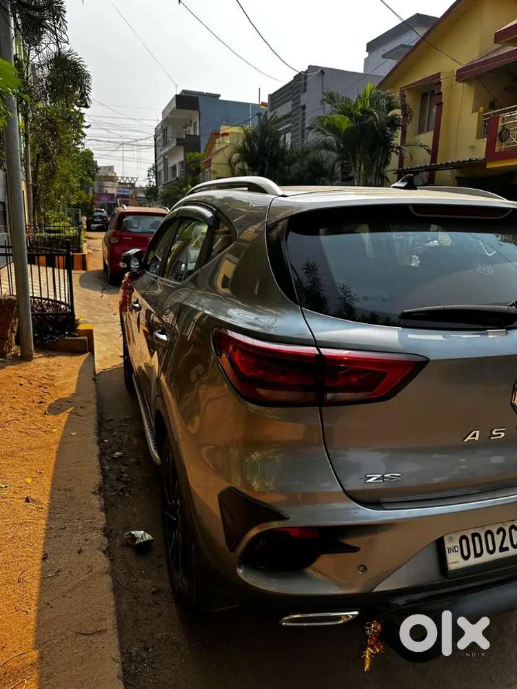 Astor In Pristine Condition