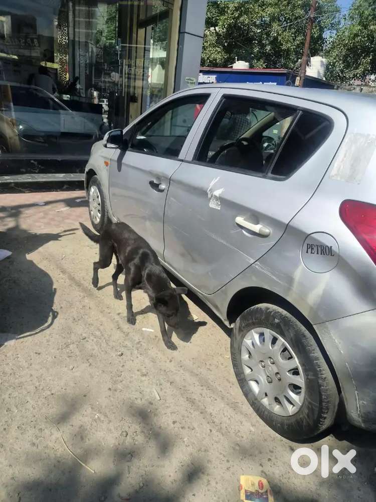 Hyundai I20 1.4 Magna 2010