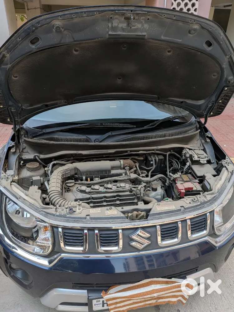 Maruti Suzuki Ignis 2024 Amt Petrol 6090 Km Driven