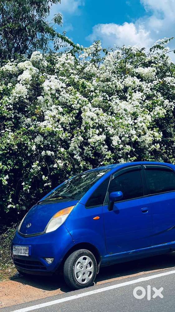 Nano 2013 Top Variant