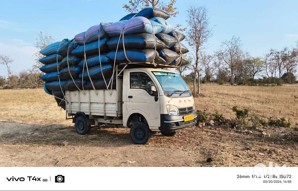 Brand Tata Model Ace Gold Petrol Age 2year