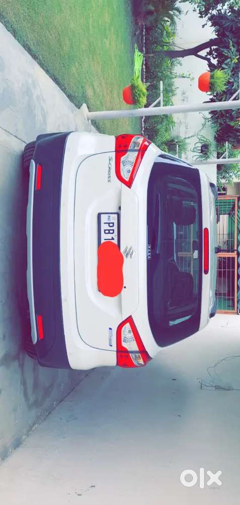 Brand New Car, All Original Bumper To Bumper,white Colour.