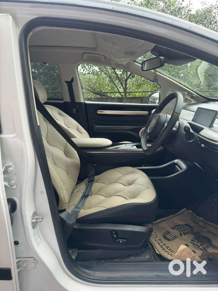 Mg Windsor Ev Essence Pro, 2026, Cng & Hybrids