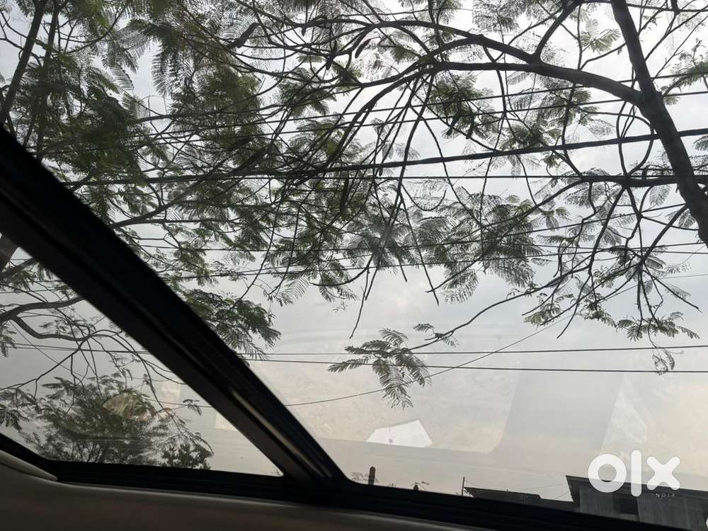 Kia Seltos 2024 Petrol 26000 Km Driven