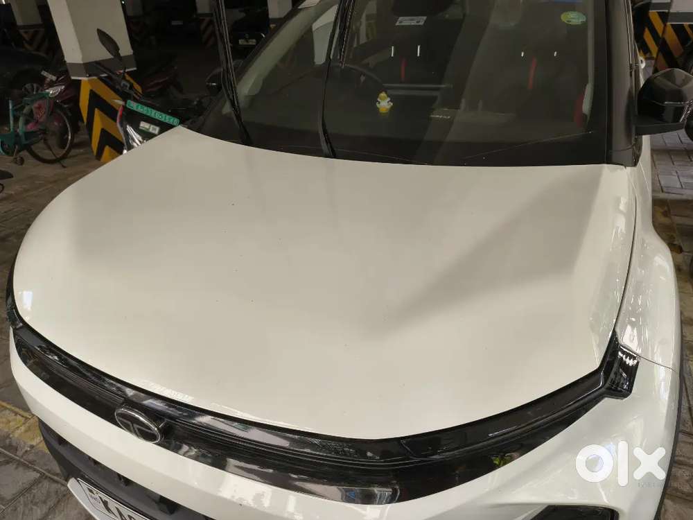 Tata Nexon 2024 Petrol Well Maintained