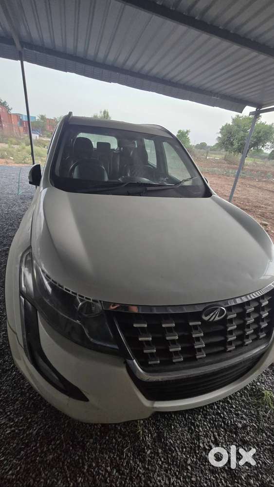 2019 Model