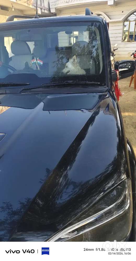 Mahindra Scorpio Classic 2024 Diesel Well Maintained