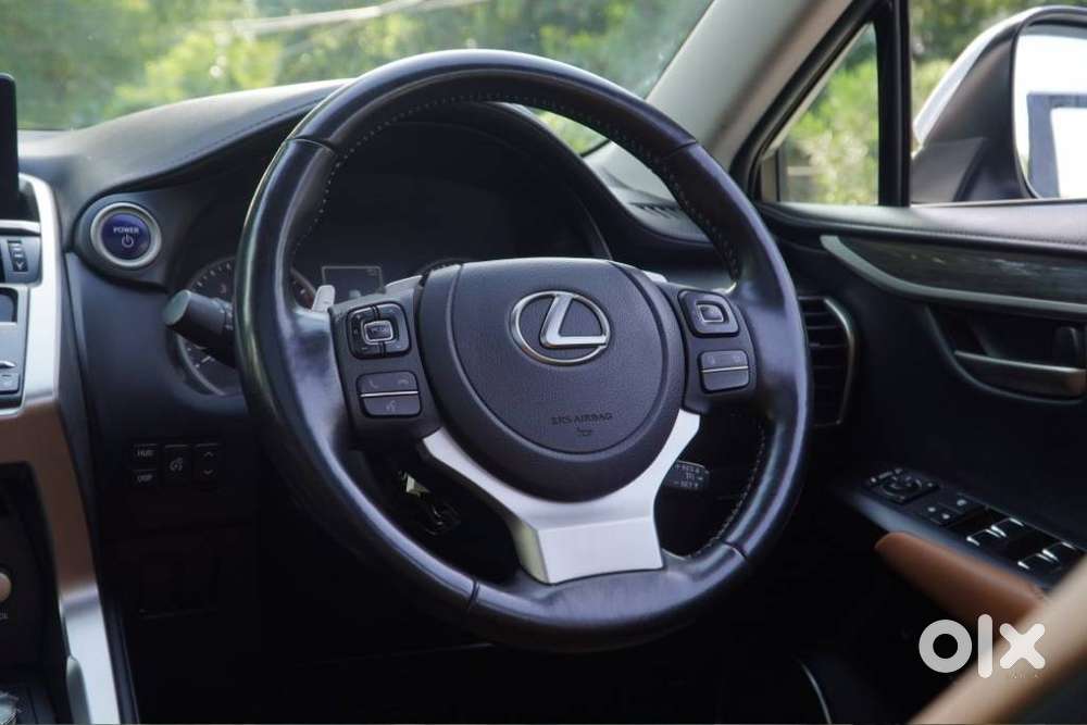 Lexus Nx Lexus-nx-300h-luxury, 2021, Petrol