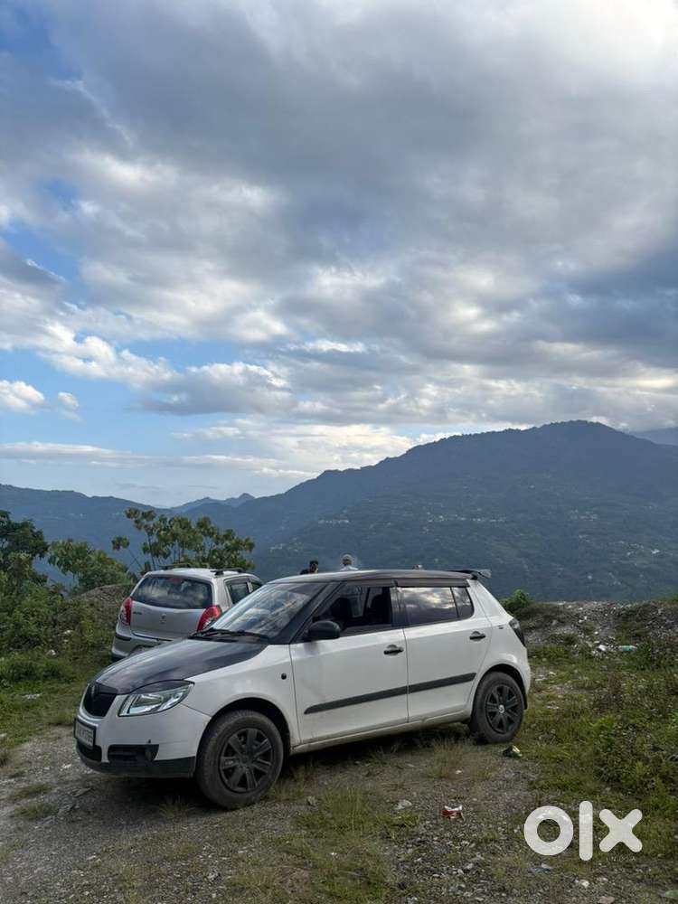Skoda Fabia 2010 Petrol Well Maintained