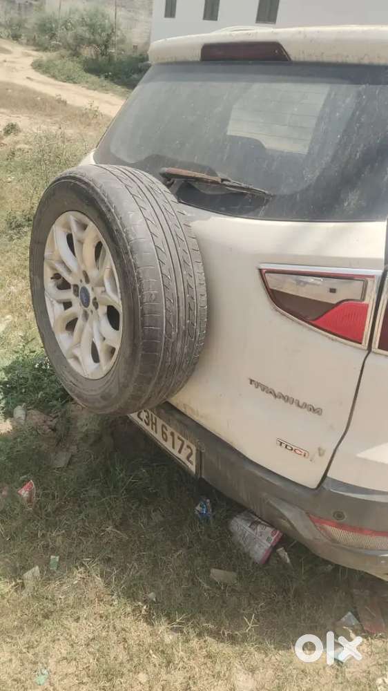 Body Line Ok Hai