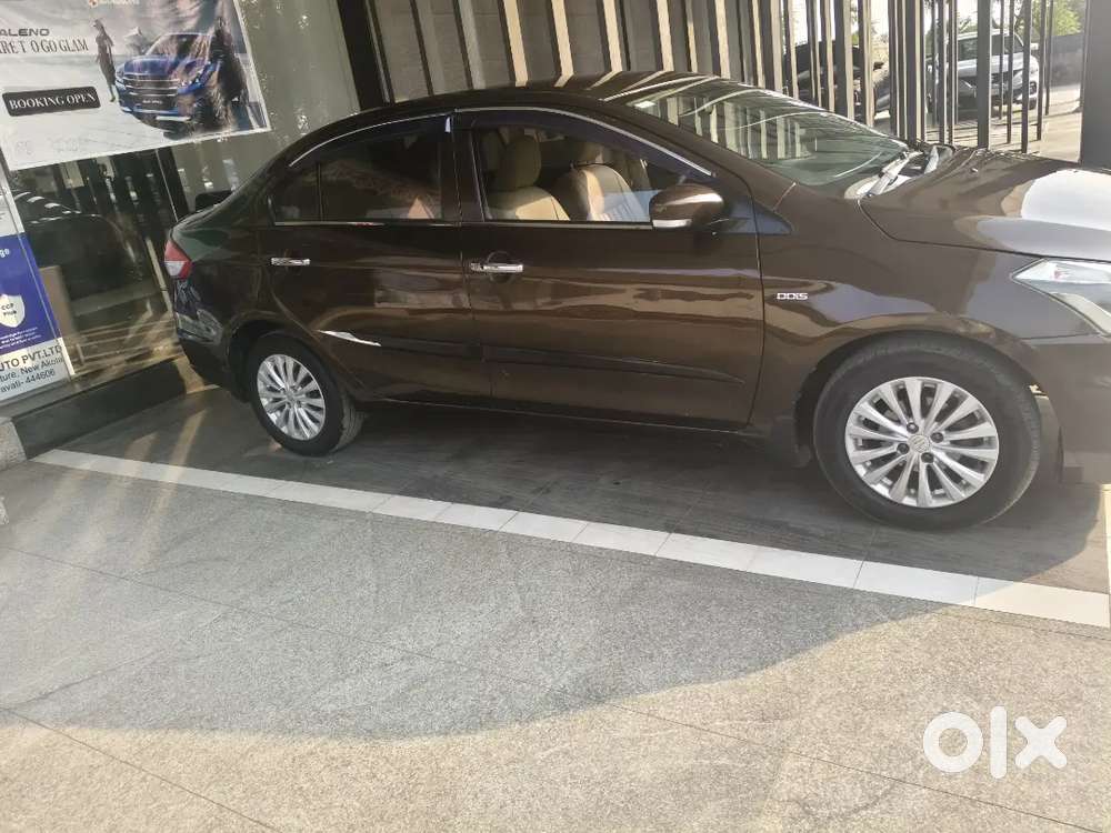 Maruti Suzuki Ciaz | Diesel | First Owner | 2016 |