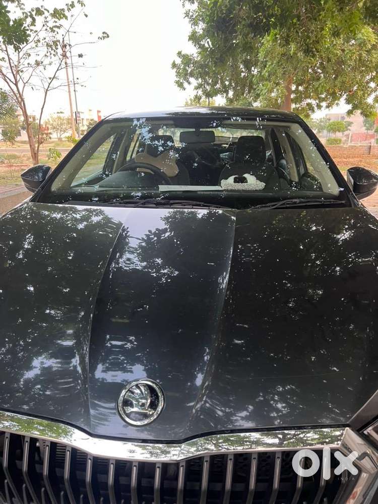 Skoda Petrol Manual 2024