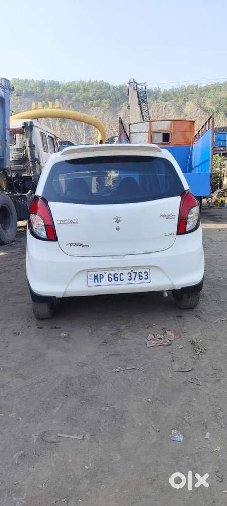 Maruti Suzuki 2016 Year