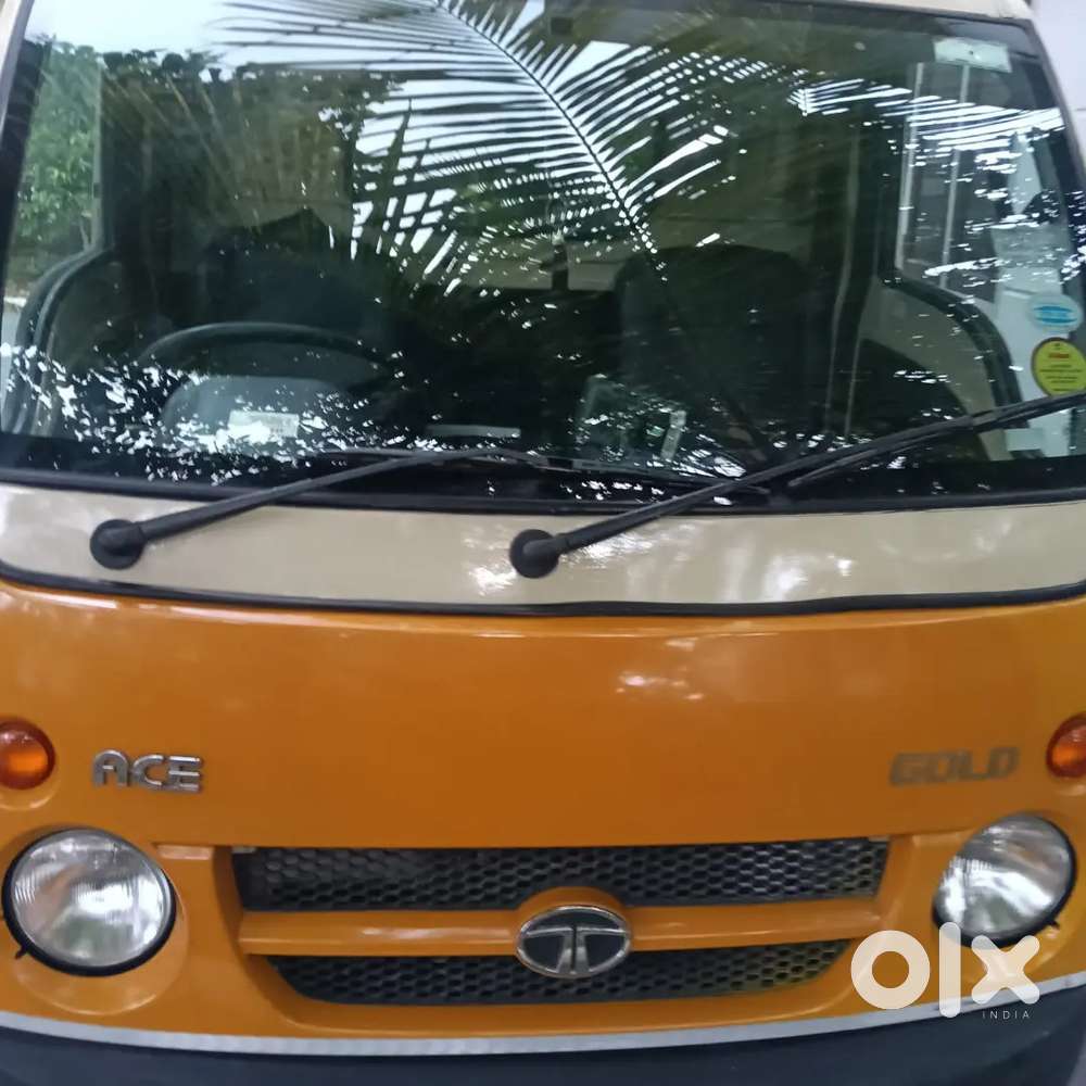 TATA ACE GOLD PETROL CONTAINER BODY