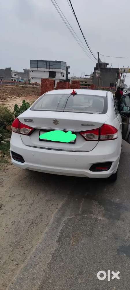 Maruti Suzuki Ciaz Zdi +2015