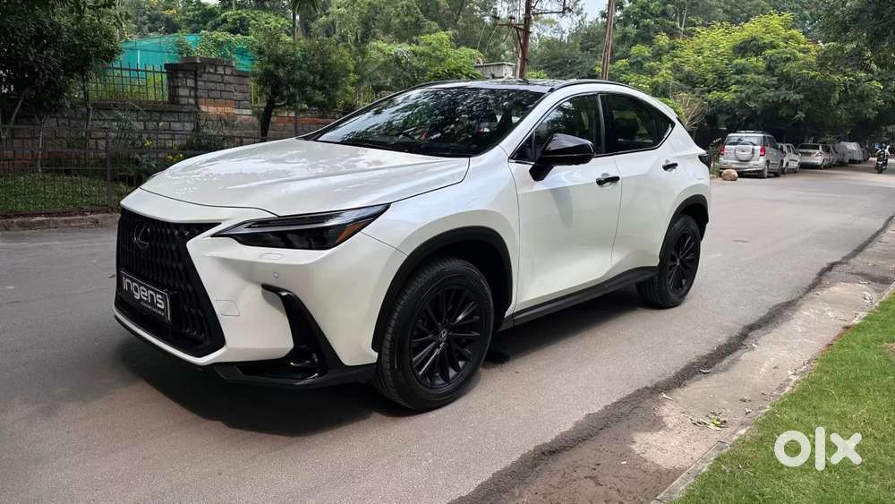 Lexus Nx, 2024, Petrol