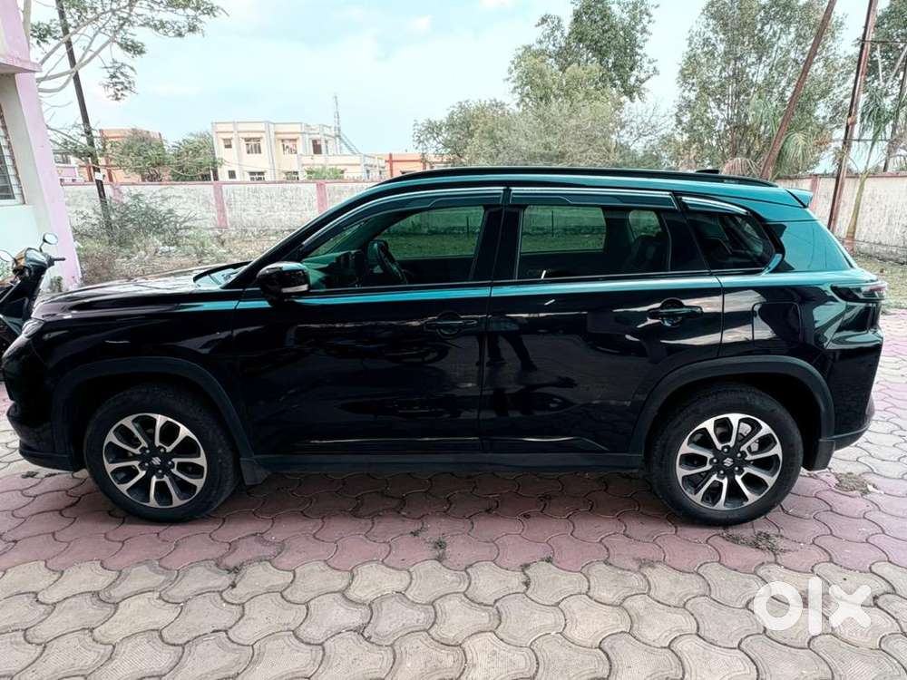 Maruti Suzuki Hybrid 2024