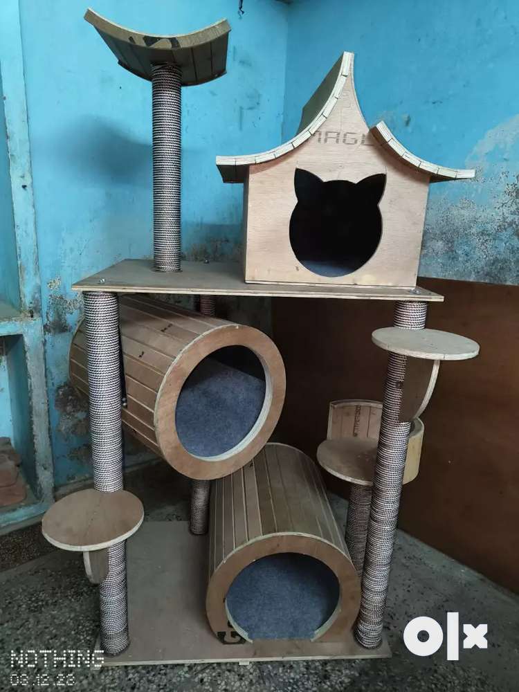 Cat accessories outlet olx