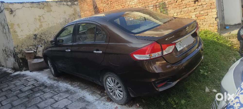 Maruti Suzuki Ciaz 2015 And Xuv 500
