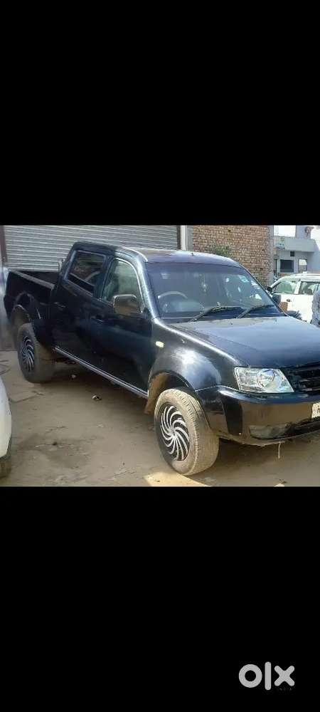 Black Horse Fully Ac