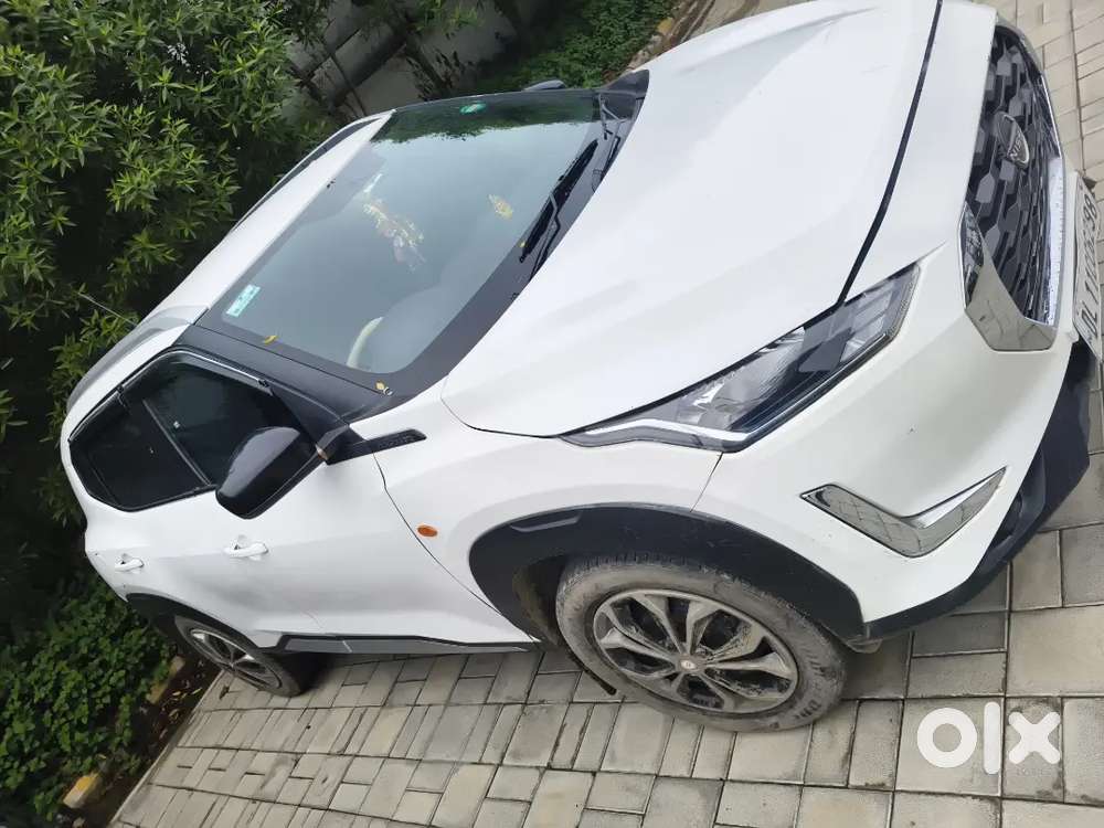 White Colour