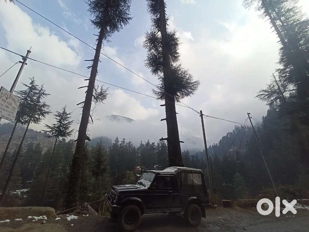 Hp 34 Black Gypsy, Passed Till 2036