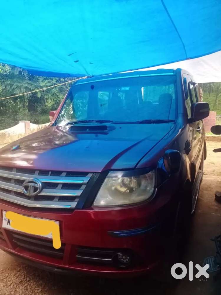 2010 Sumo Grande Gx