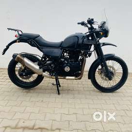 Buy Sell Second Hand Himalayan in Haryana Used Bikes in Haryana OLX