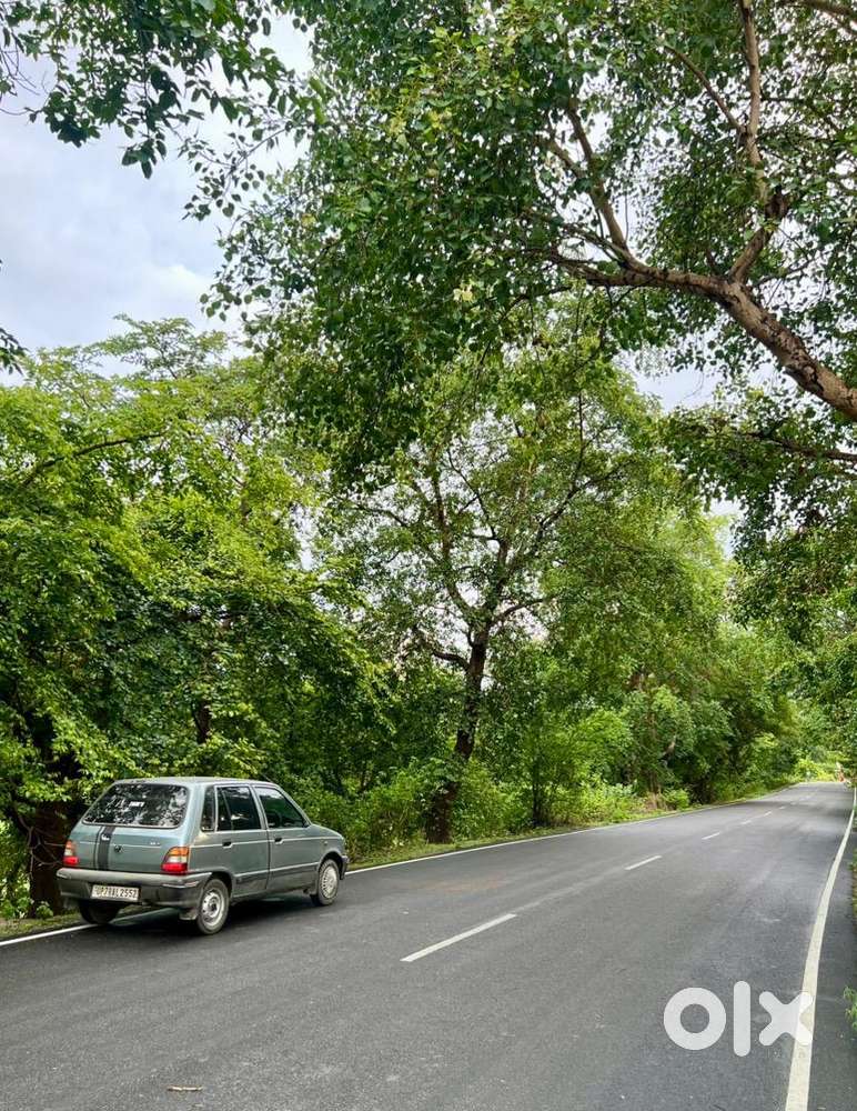 Maruti Suzuki 800 2003 Petrol Well Maintained