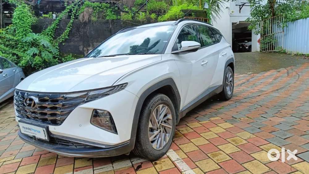 Hyundai Tucson 2.0 Platinum Petrol At, 2024, Petrol