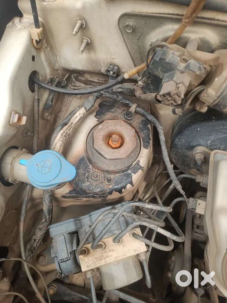 Maruti Suzuki 800 2121