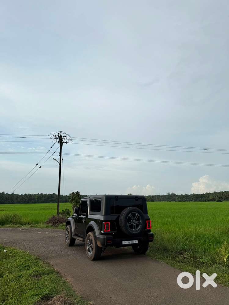 Mahindra Thar 2025 Diesel 25000 Km Driven