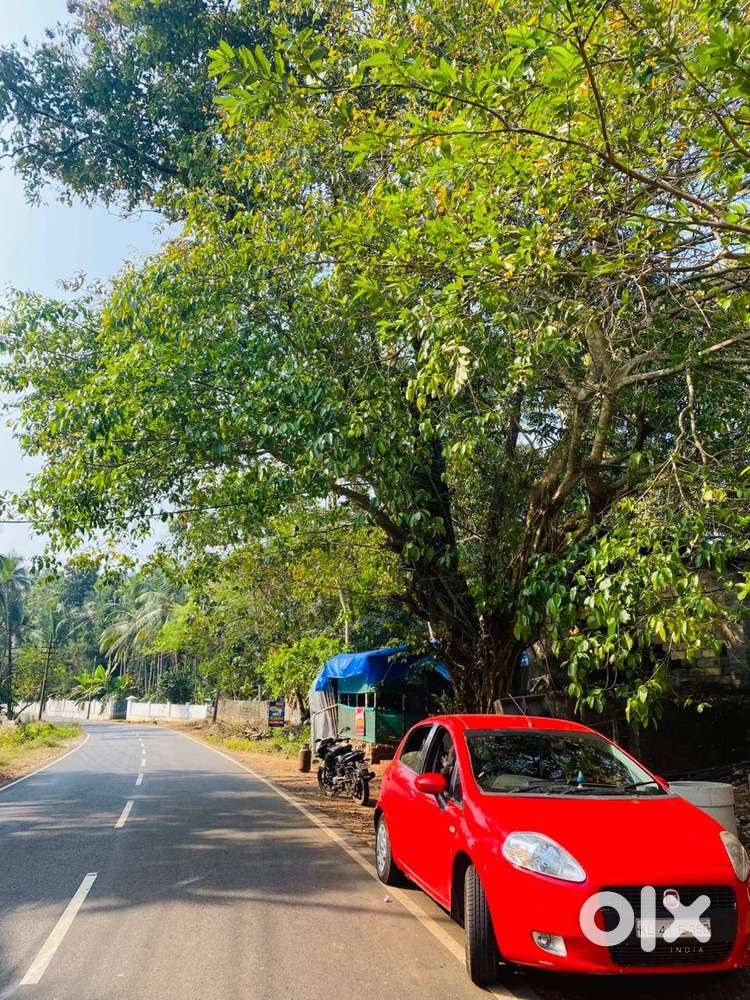 Fiat Punto 2011 Petrol 85000 Km Driven