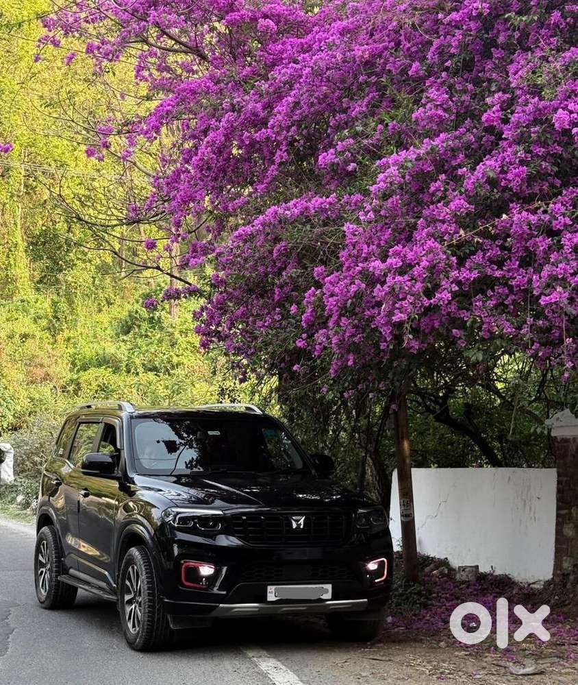 Mahindra Diesel 4by4 Car 2023