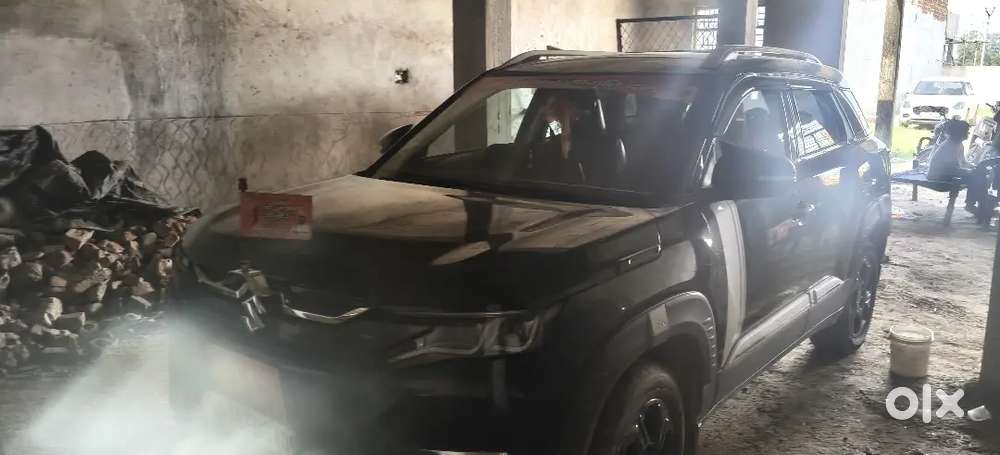 Maruti Suzuki Brezza October 2024 With Cng With Sunroof