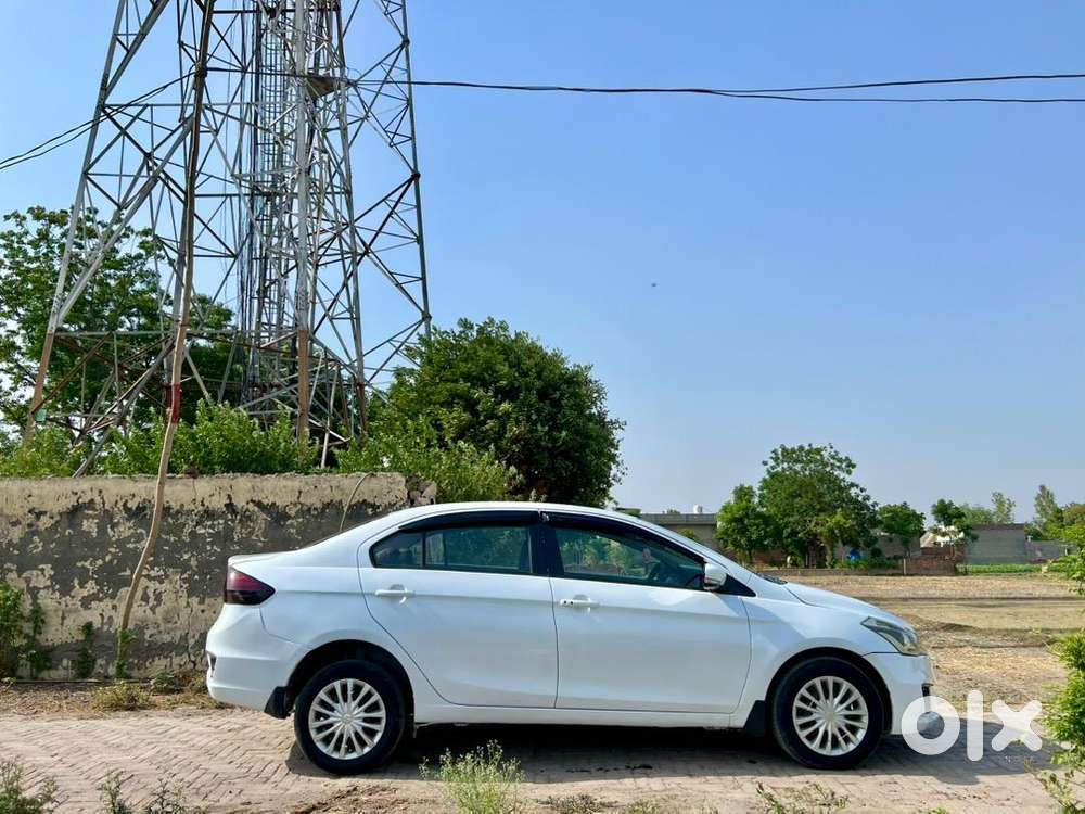 Maruti Suzuki Ciaz ( Hybrid )