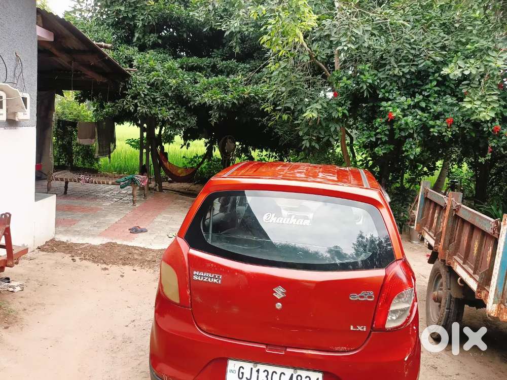 Alto 800 2013