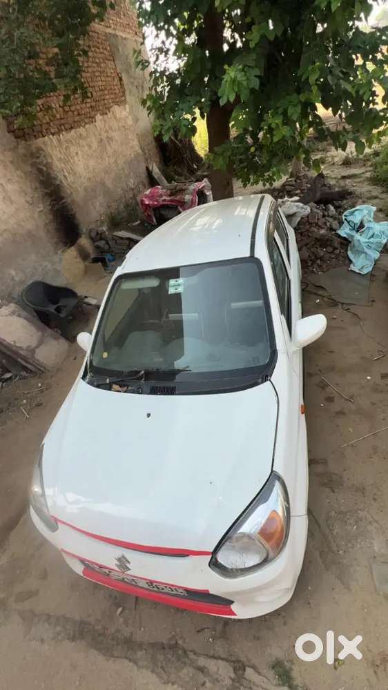 Maruti Suzuki Alto 800 2017