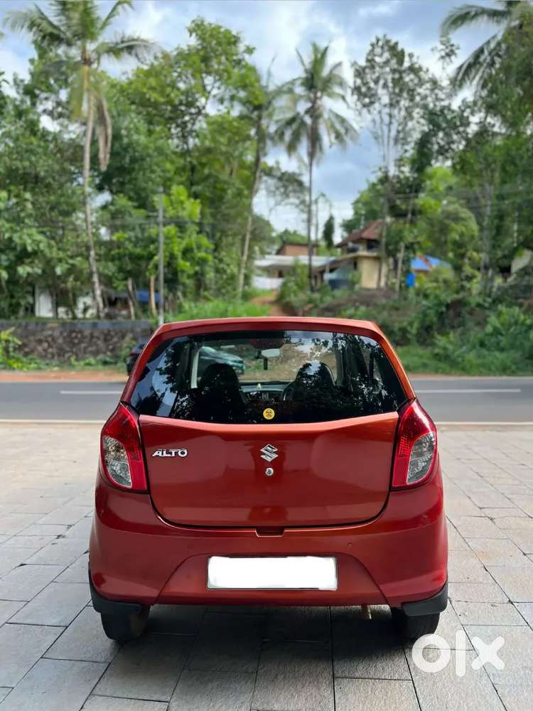 Alto 800 2019