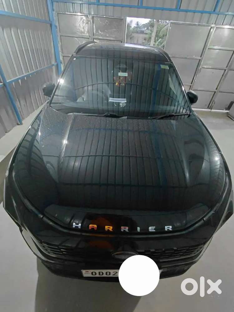 Tata Harrier Fearless Plus 2024