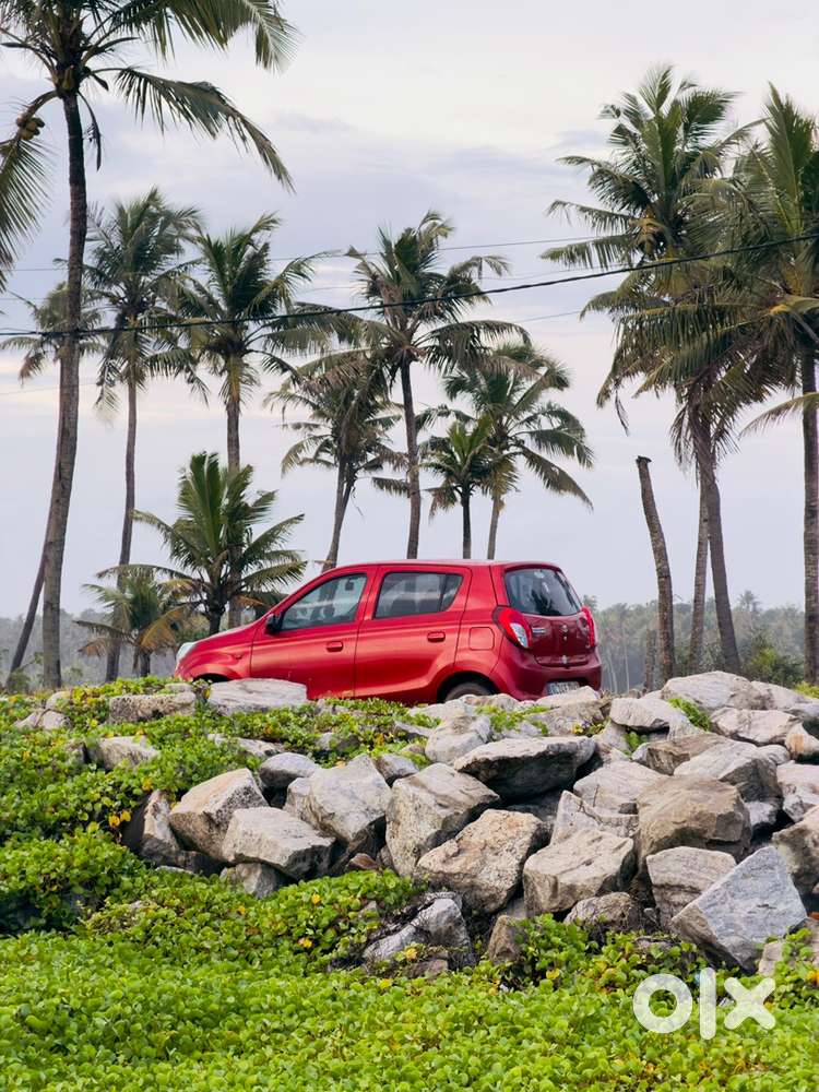 Maruti Suzuki Alto 800 2013 Petrol Well Maintained