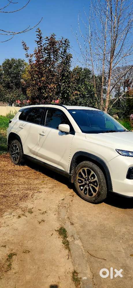 Maruti Suzuki Grand Vitara 2023 Petrol Good Condition