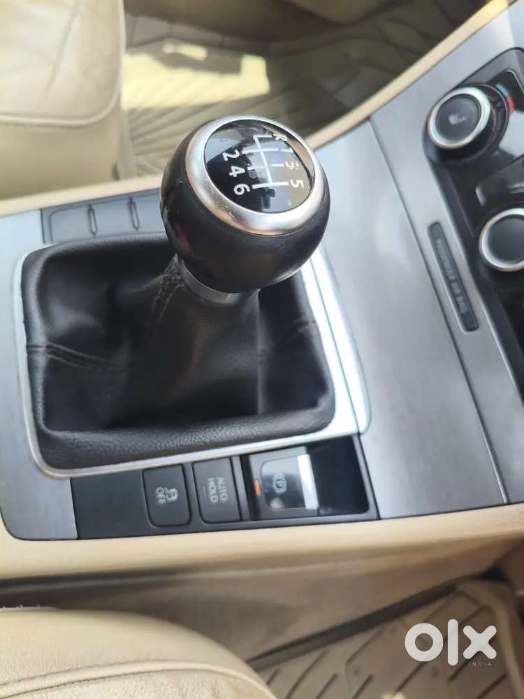 2013 Model