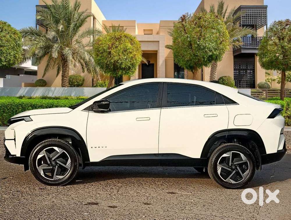 Tata Curvv Pure Plus S 1.2 Revotron Petrol 6mt, 2024, Petrol