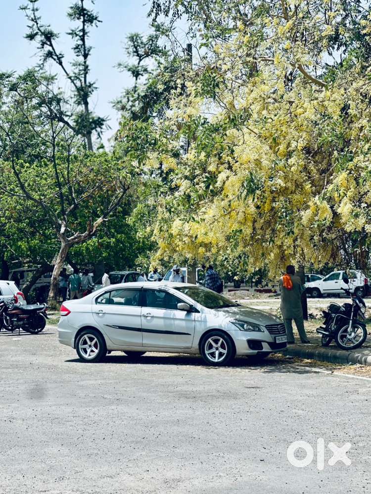 Maruti Suzuki Ciaz 2017 Good Condition