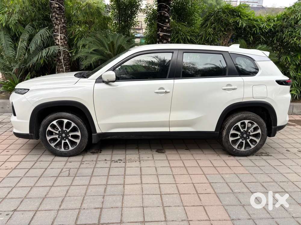 Maruti Suzuki Grand Vitara 1.5 Delta Smart Hybrid, 2024, Petrol